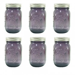 FRASCOS PARA ENVASE CON BOCA REGULAR MORADO DE 473 ML 6 PK BALL - Envío Gratuito